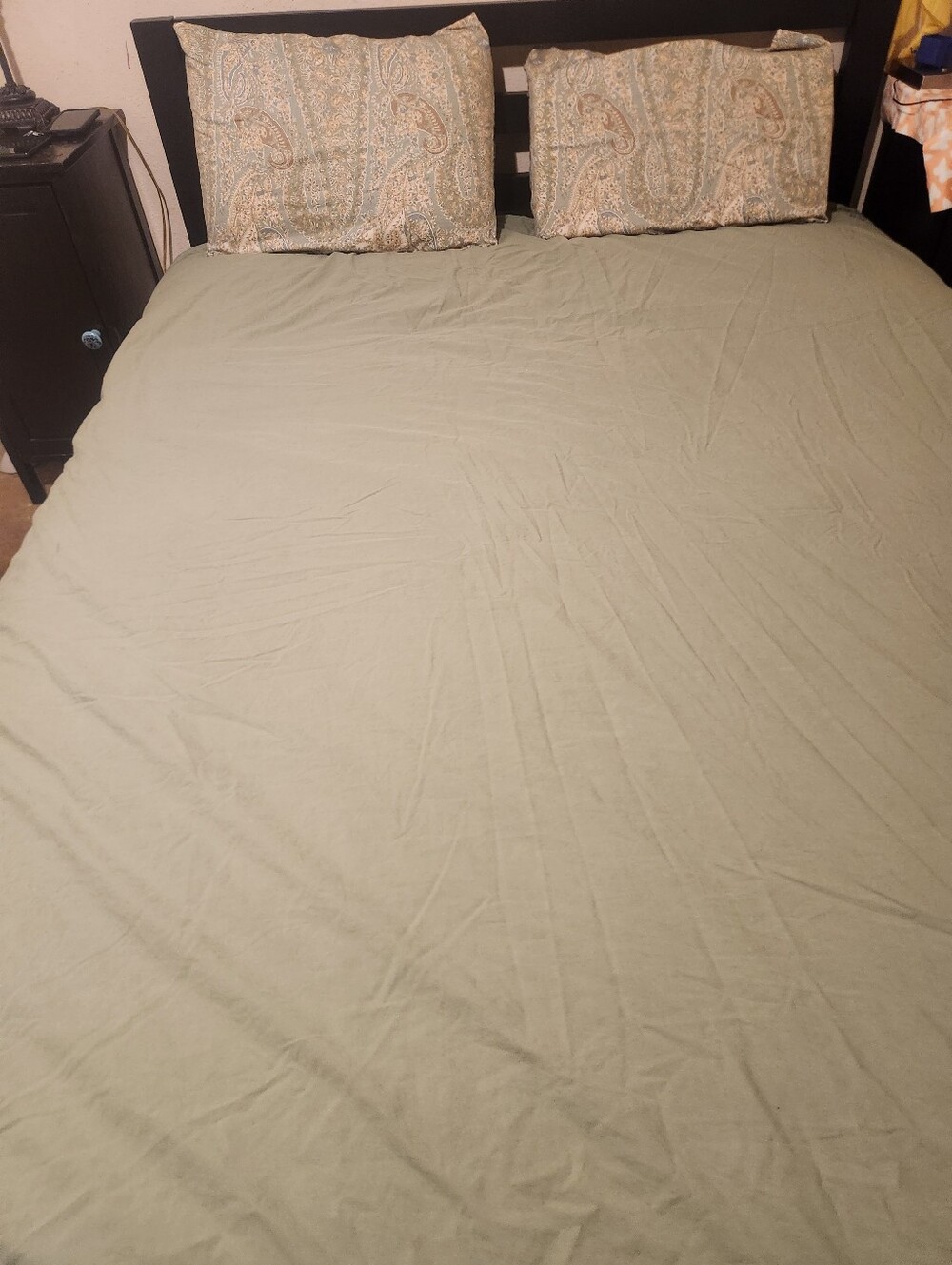 Pottery Barn Sage Green Reversible Queen Duvet Cover & Pillocases